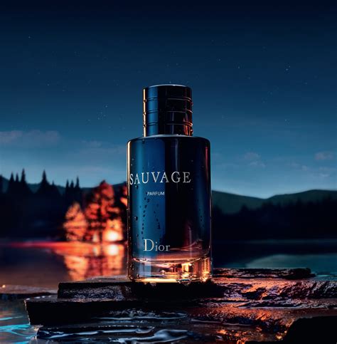 meskie perfumy dior|parfum Dior sauvage.